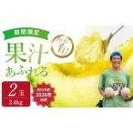 ふるさと納税 2026年先行予約【イバラキングメロン】\生産量日本一!/茨城県鉾田市産 イバラキング メロン めろん 1.2kg以上×2玉|方波見.. 茨城県鉾田市
