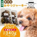 犬猫用 無添加おやつジャーキー 牛グリーントライプ