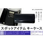 キーケース WILDSWANS スポットアイテム
