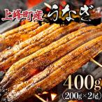 うなぎ200g×2尾