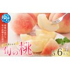 ふるさと納税 桃 旬の もも 和歌山県産 5〜6玉入り 秀品 ※2026年6月下旬より順次発送【mtgn043】 和歌山県由良町