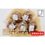 しいたけ 野菜 京都が育んだきのこ 長期減水栽培