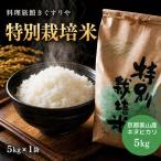 料理旅館きぐすりや お米 特別栽培米 キヌヒカリ