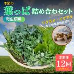 季節の葉っぱ詰め合わせ