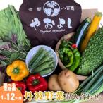 野菜 定期便 12回 京都やおよし 丹波野菜