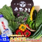 詰め合わせ 野菜 牛乳 定期便 6回 無農薬