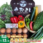 詰め合わせ 野菜 卵 定期便 6回 無農薬 詰め合わせ