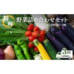 新鮮 野菜 詰め合わせ セット