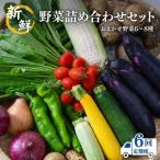 新鮮 野菜 詰め合わせ セット