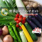 新鮮 野菜 詰め合わせ セット