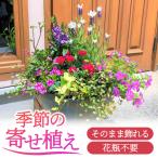 季節の寄せ植え 花 お花 誕生日 インテリア