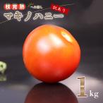 トマト 1kg