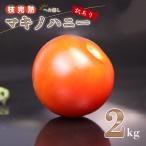 トマト 2kg