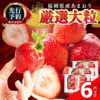 いちご 2027年 あまおうボリュームセット 6パック