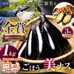 野菜ソムリエサミット金賞 ごほう美ナス 約1kg
