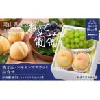 ふるさと納税 【2026年発送】桃・シャインマスカット詰合せ(白桃2玉・シャインマスカット1房)　合計約1.0kg【配送不可地域：離島】【1614050】 岡山県津山市