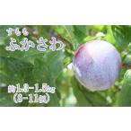 すもも ふかさわ 8 11個入り