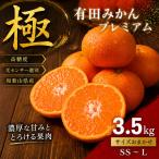 \光センサー選別 極 有田みかんプレミアム 約3.5kg