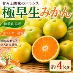 \光センサー選別 こだわりの完熟有田みかん