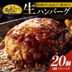 美ら島あぐー ハンバーグ 20個