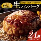 美ら島あぐー ハンバーグ 24個