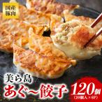 美ら島あぐー餃子 120個セット 20個入×6パック