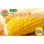 ふるさと納税 【先行予約 令和8年7月中旬~8月上旬発送予定】とうもろこし 20本 朝採り 旬 国産 産地直送 シーズン限定 冷蔵 銚子産 勘兵衛 トウ.. 千葉県銚子市