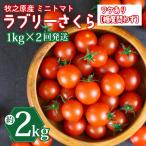 ミニトマト 2kg