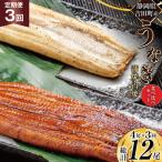 うなぎ 定期便 3回 蒲焼 白焼 食べ比べセット 各2尾