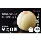 ふるさと納税 【星乃白桃】岡山県の桃園からお届けする三つ星の桃 780g (3玉)【配送不可地域:離島・北海道・沖縄県】【1614281】 岡山県津山市