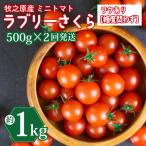 ミニトマト 1kg