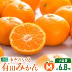 みかん Mサイズ 秀品 箱込 7.5kg