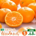 みかん Sサイズ 秀品 箱込 7.5kg