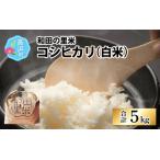 和田の里米 コシヒカリ 白米 5kg