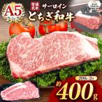宮福笑牛 とちぎ和牛 A5 サーロインステーキ