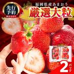 いちご 2027年 厳選大粒あまおう 約250-270gx2パック