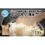 和田の里米 10kg