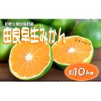 ふるさと納税 【先行予約】和歌山由良町産 由良早生みかん 約10kg 訳あり キズ 御家庭用 サイズ混合【sml136】 和歌山県由良町