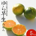 極早生みかん ゆら早生みかん 5kg2S3Sサイズ