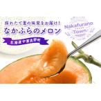 ふるさと納税 【2025年発送】 なかふらのメロン2玉 (計4kg)【CD-005】 北海道中富良野町