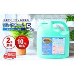 2倍濃縮 洗濯洗剤 ランドリーム 5kg×1個