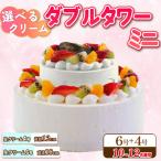 ケーキ カステラ スポンジケーキ ダブルタワー