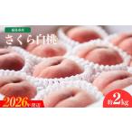 ふるさと納税 No.2724福�