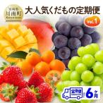 大 くだもの定期便Vol.1