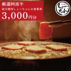 焼肉 食事券 3000円分