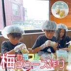 体験チケット カフェドマンマ食事券1500円分&カラフル梅ジ…