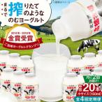 ヨーグルト 小サイズ 20本