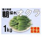 fu.... налог [2026 год производство ]. через храм город производство абельмош 1kg Kagawa префектура . через храм город 