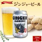 クラフトビール 350ml