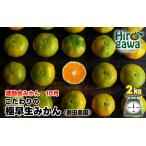 極早生 みかん 2kg